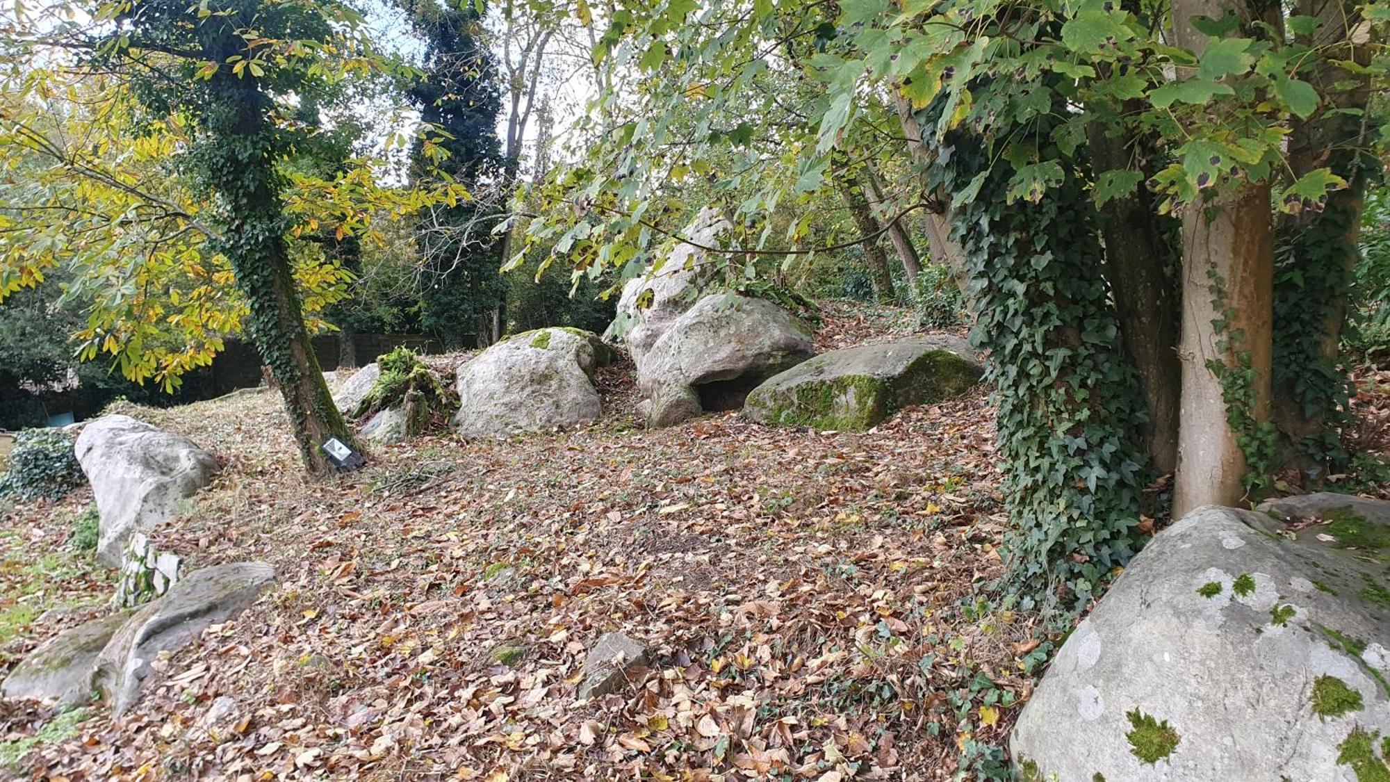 Moigny Le Jardin Des Roches Bed & Breakfast エクステリア 写真