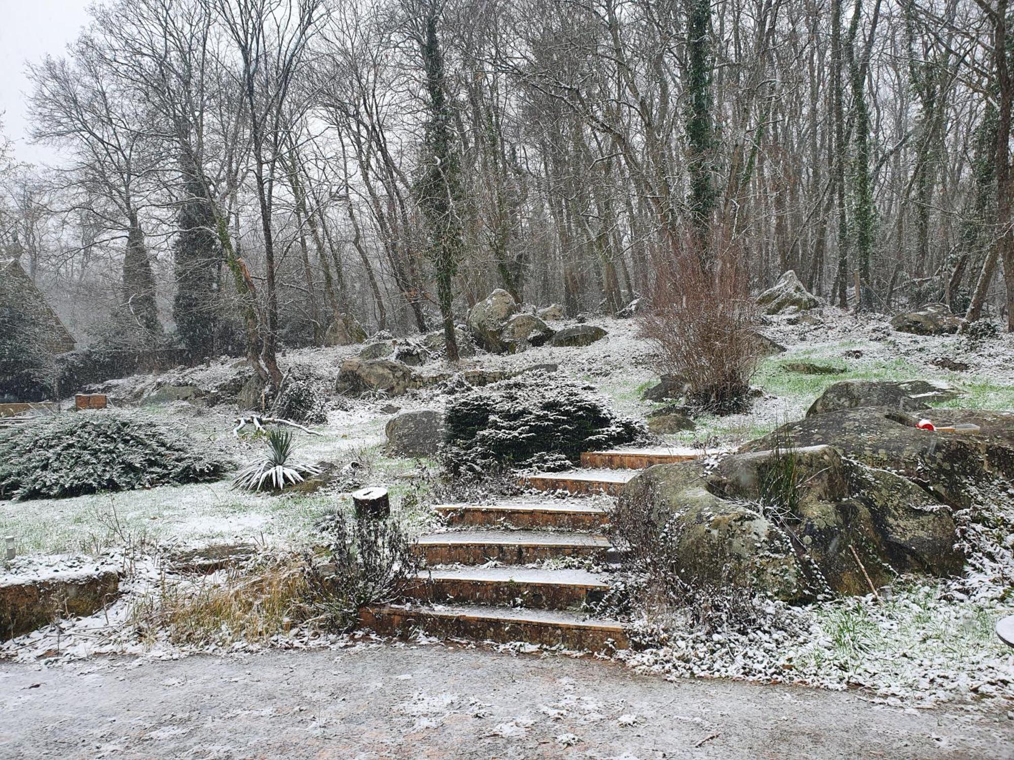 Moigny Le Jardin Des Roches Bed & Breakfast エクステリア 写真