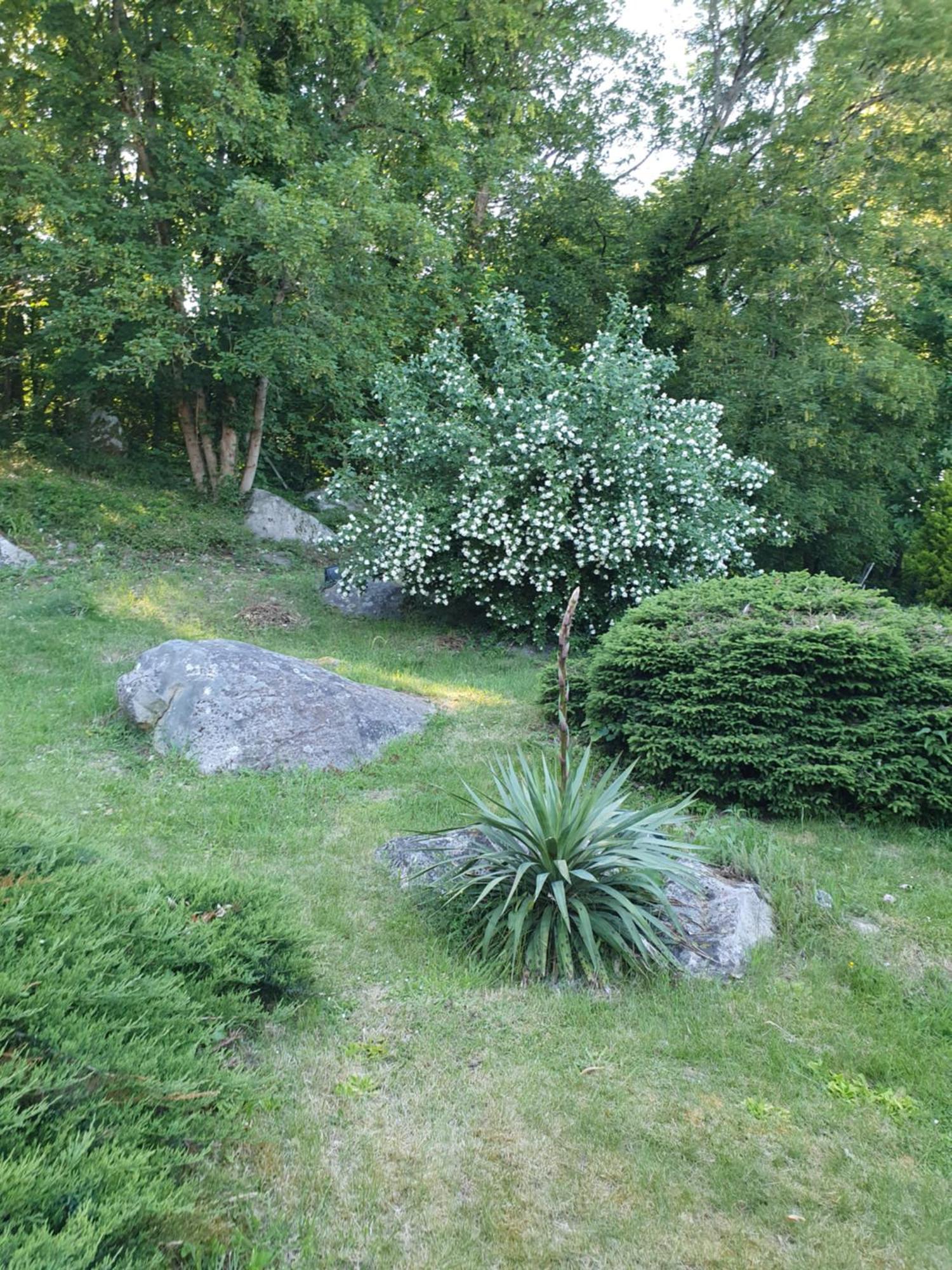 Moigny Le Jardin Des Roches Bed & Breakfast エクステリア 写真